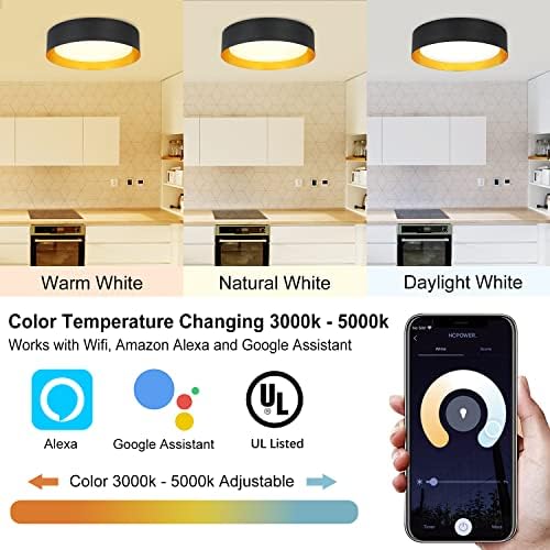 Depuley 30W Wifi חכם LED LED סומק תאורת תקרה, שלט רחוק באפליקציה עם אלכסה, תאורת בית חכם של גוגל, 15