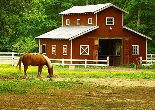 Loccor 15x10ft סוסים חוות סוסים סוסים בחקלאות סתי