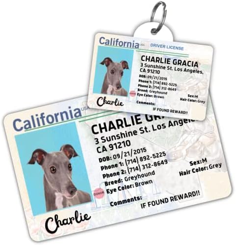 רישיון נהיגה תג כלב מותאם אישית לחיות מחמד וכרטיס ארנק - תגי כלבים לכלבים - תג כלב תגי - תגי מזהי כלב