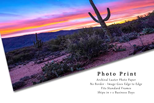 צילום מערבי הדפסת תמונה של סגוארו בזריחה במדבר סונורן ליד טוסון אריזונה קקטוס קיר אמנות עיצוב דרום מערבי