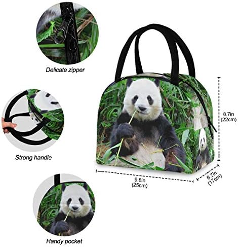 ענק פנדה דוב בעלי החיים אכילת במבוק יער ג ' ונגל וודלנד מבודד רוכסן הצהריים תיק צידנית ארוחת הכנת תיק