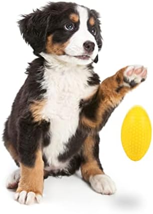כדור חיית מחמד צעצועים כלבים קטנים לעיסה צעצועים כלבים לגורים גורים צעצועים בקיעת שיניים צעצועים צעצוע