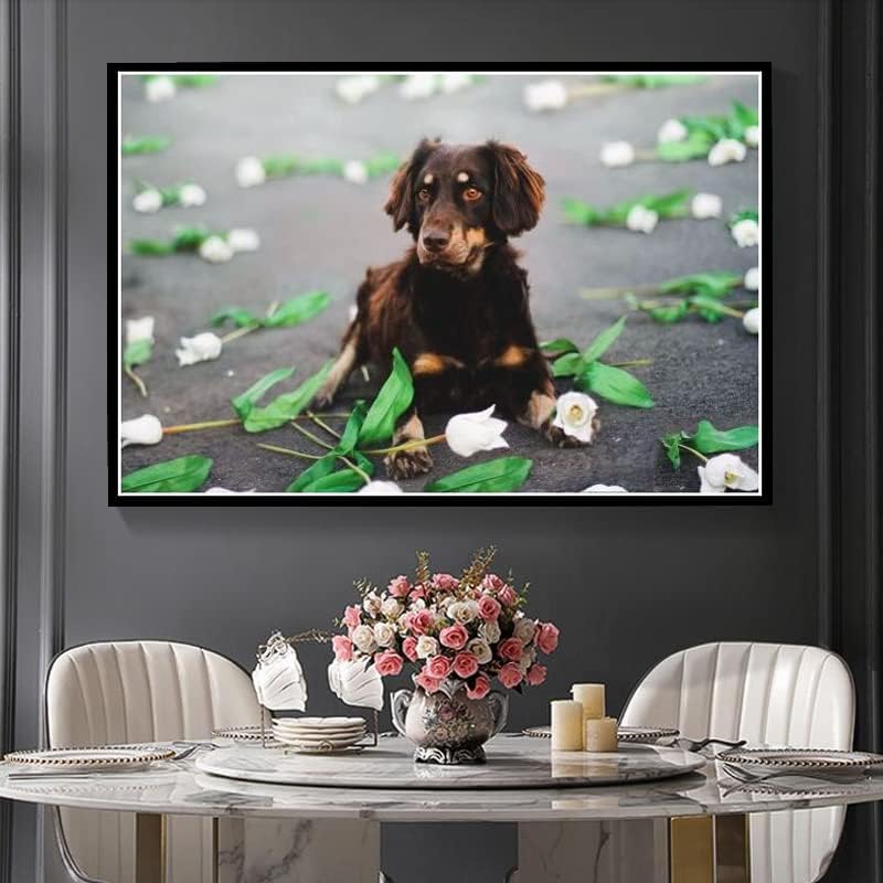 בורדר קולי חמוד חיות מחמד כלב נוף חיות יהלומי ציור ערכות למבוגרים, 5 ד קריסטל יהלומי אמנות עם אביזרי